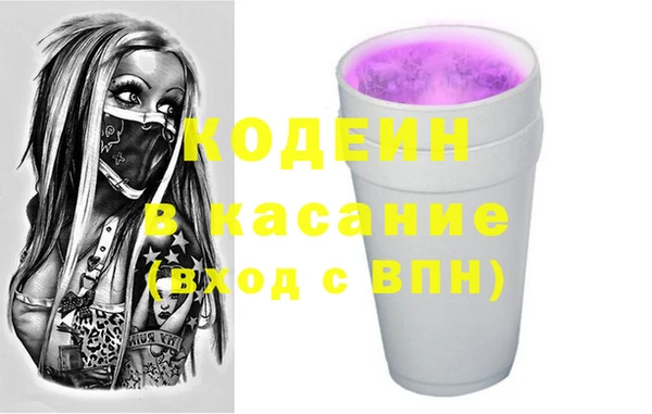 индика Няндома