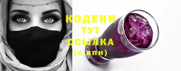индика Нязепетровск