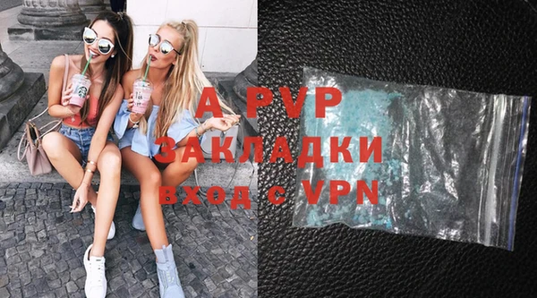 индика Няндома