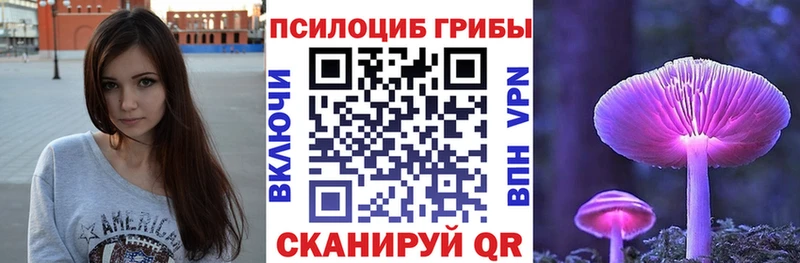 Галлюциногенные грибы Psilocybe  Новый Уренгой 